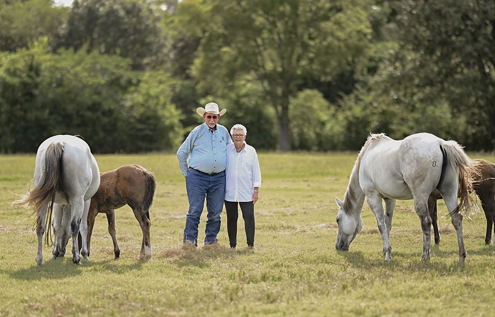 An older couple stands close together in the center of a sunlit pasture